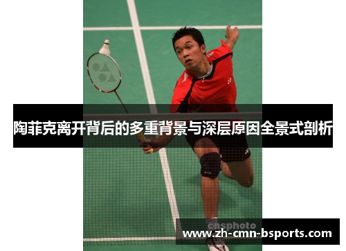 陶菲克离开背后的多重背景与深层原因全景式剖析 陶菲克离开背后的多重背景与深层原因全景式剖析