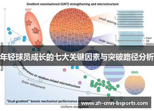 年轻球员成长的七大关键因素与突破路径分析 年轻球员成长的七大关键因素与突破路径分析
