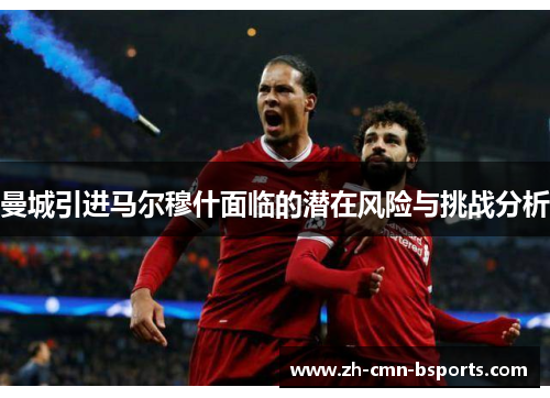 曼城引进马尔穆什面临的潜在风险与挑战分析 曼城引进马尔穆什面临的潜在风险与挑战分析
