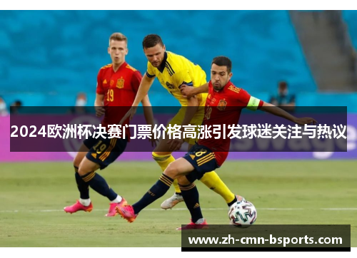 2024欧洲杯决赛门票价格高涨引发球迷关注与热议