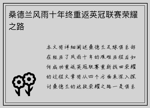 桑德兰风雨十年终重返英冠联赛荣耀之路